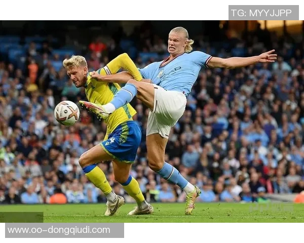 国家队场均进球统计哈兰德领衔盖德穆勒柯奇士紧随其后